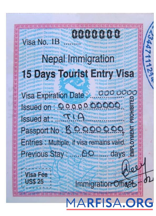 Realistic Nepal entry visa sample